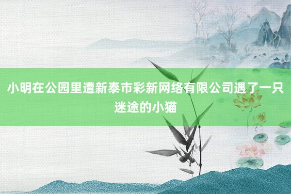 小明在公园里遭新泰市彩新网络有限公司遇了一只迷途的小猫
