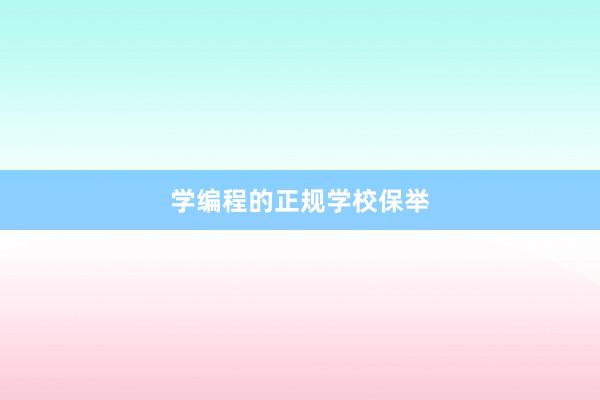 学编程的正规学校保举