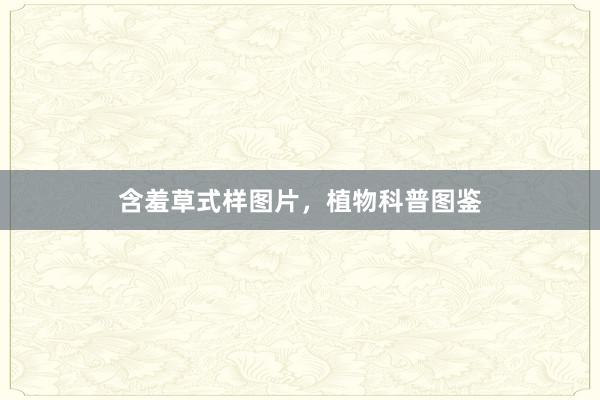 含羞草式样图片，植物科普图鉴