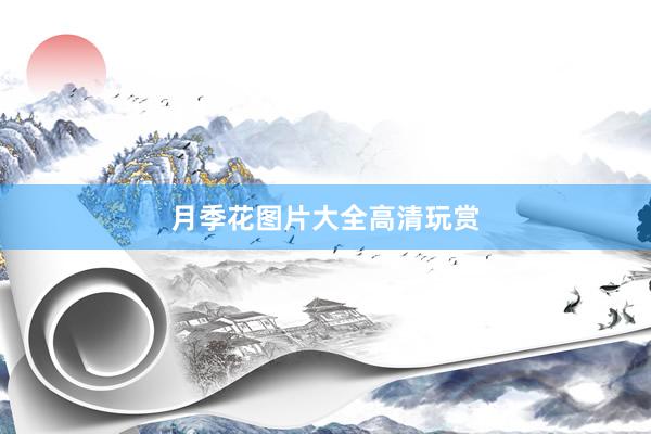 月季花图片大全高清玩赏