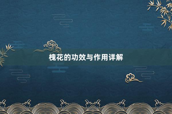 槐花的功效与作用详解