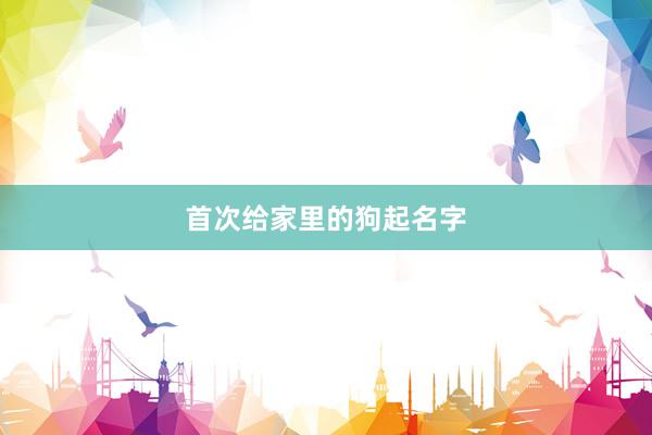 首次给家里的狗起名字