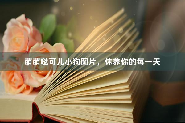 萌萌哒可儿小狗图片，休养你的每一天